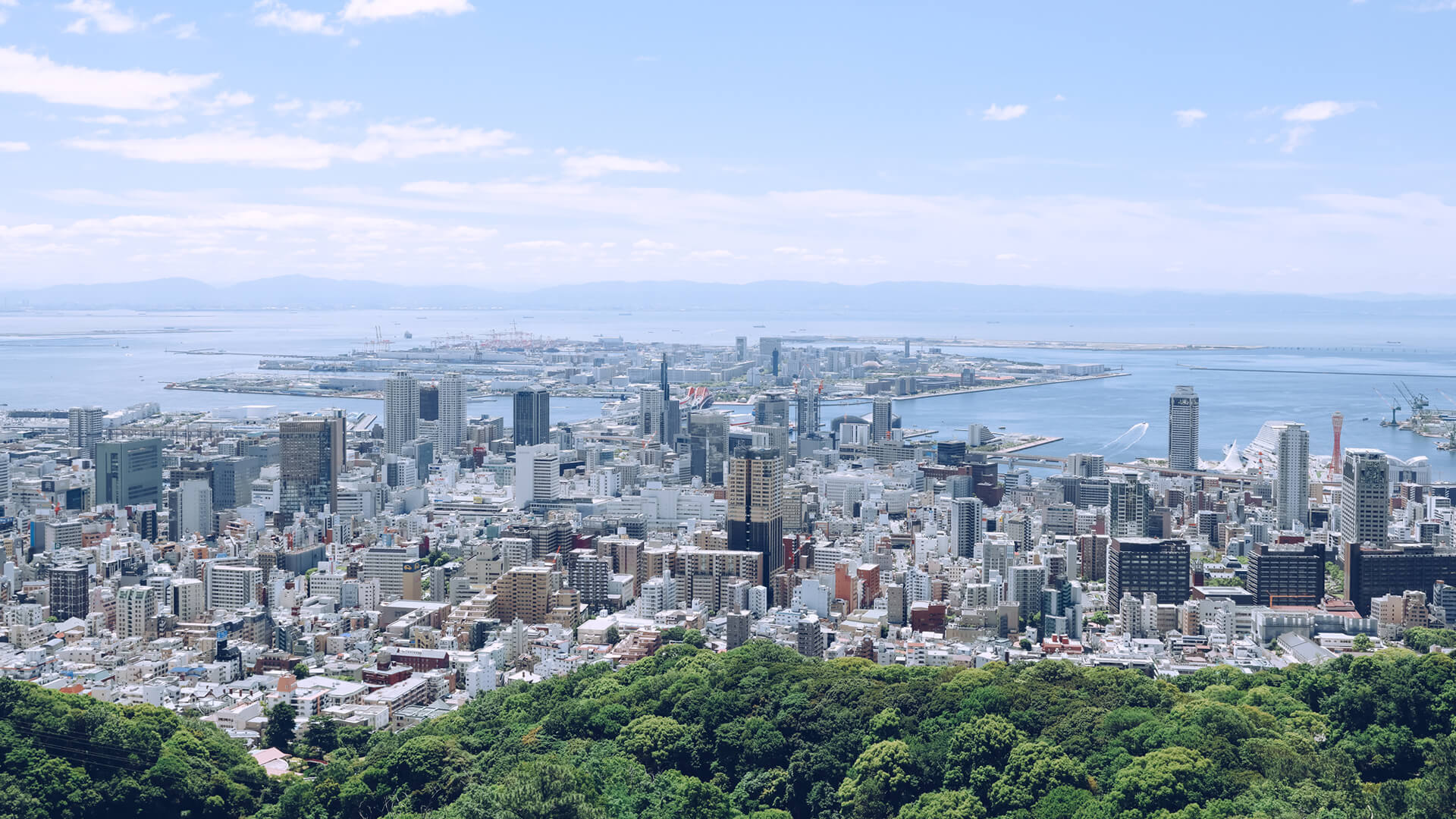 お花のまち神戸と、その想いを引き継ぐお花屋さんGROUND