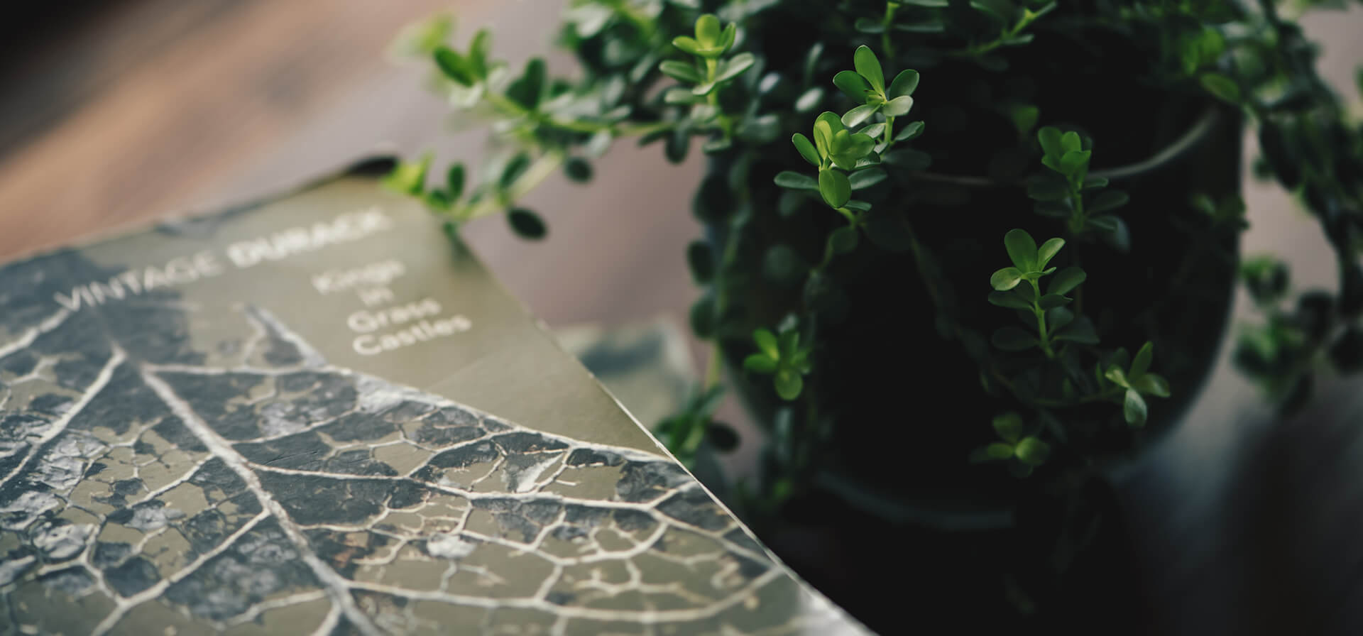 大谷耕一郎 Koichiro Ohtani