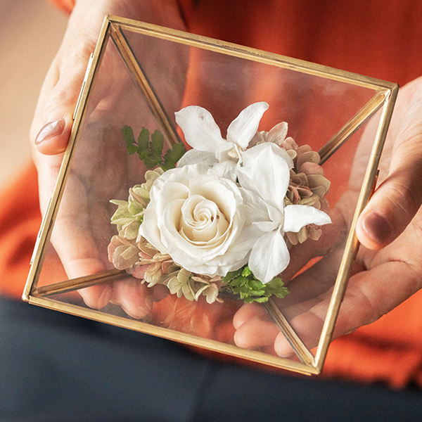 グラウンド・ソラボックス