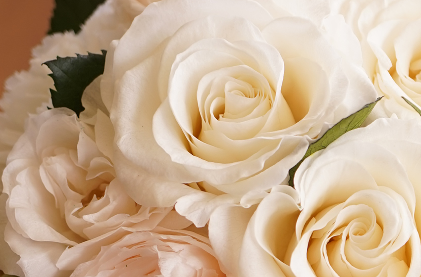 結婚祝いに贈る花　選び方と注意点を分かりやすく解説！