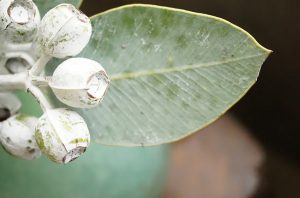 スワッグで楽しむフラワーインテリア -4