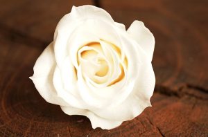 プリザーブドフラワーの意味とは？なに？