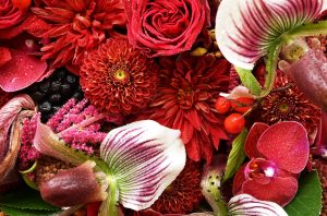 プリザーブドフラワーの色の効果