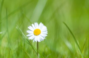 SDGｓって何から始めたらいいの？