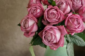 バラ(薔薇)の花言葉　一覧ガイド　本数と色で想いを伝えよう