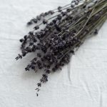 【ラベンダー】アロマオイルの効果・効能は?おすすめの使い方をご紹介