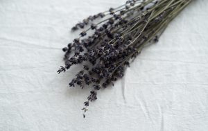 【ラベンダー】アロマオイルの効果・効能は？おすすめの使い方をご紹介