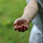 アロマで虫除け!どの精油がどの虫に効く?虫刺され予防と刺された時の対処もご紹介