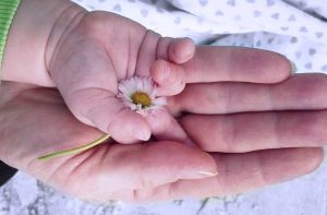 【SDGsってなに？】ママの想いから生まれたGROUNDの取り組み