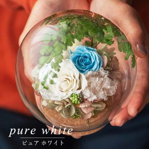 お中元代わりに贈る“涼”の花ギフト