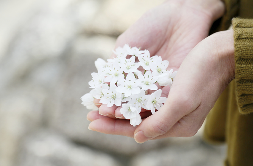 結婚祝いにお花を贈る