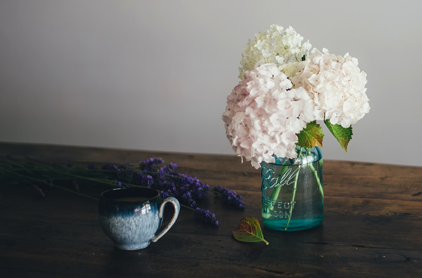 Column あじさいと眺める優しい雨 4