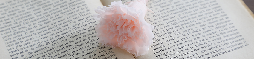 プリザ　カーネーション　花の種類