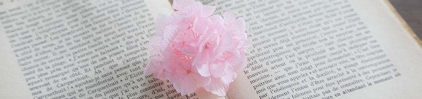 プリザ　アジサイ　花の種類