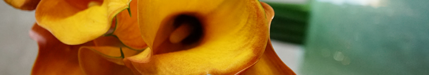 プリザーブドフラワー　黄色　イエロー