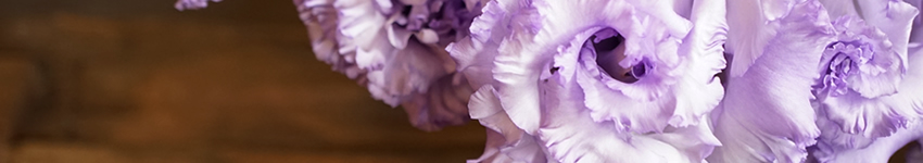 プリザーブドフラワー　紫　パープル