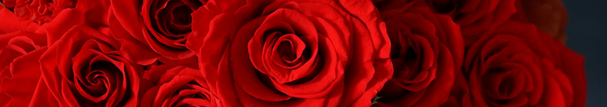 プリザーブドフラワー　レッド　赤