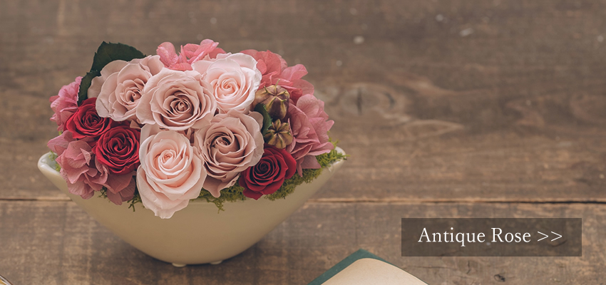 先生の結婚祝いに贈りたいお花・アンティークローズ