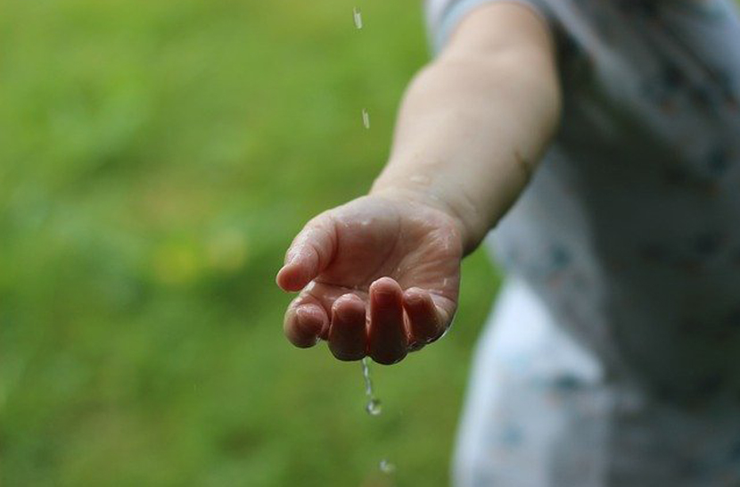 アロマで虫除け 精油おすすめ6選 作り方 虫刺され予防と刺された時の対処もご紹介